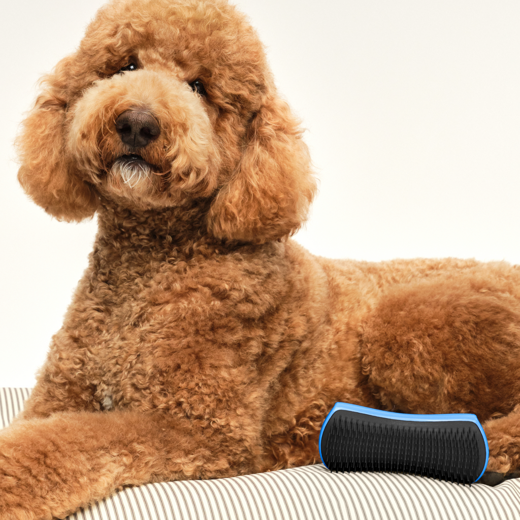 Detangling Dog Grooming Brush