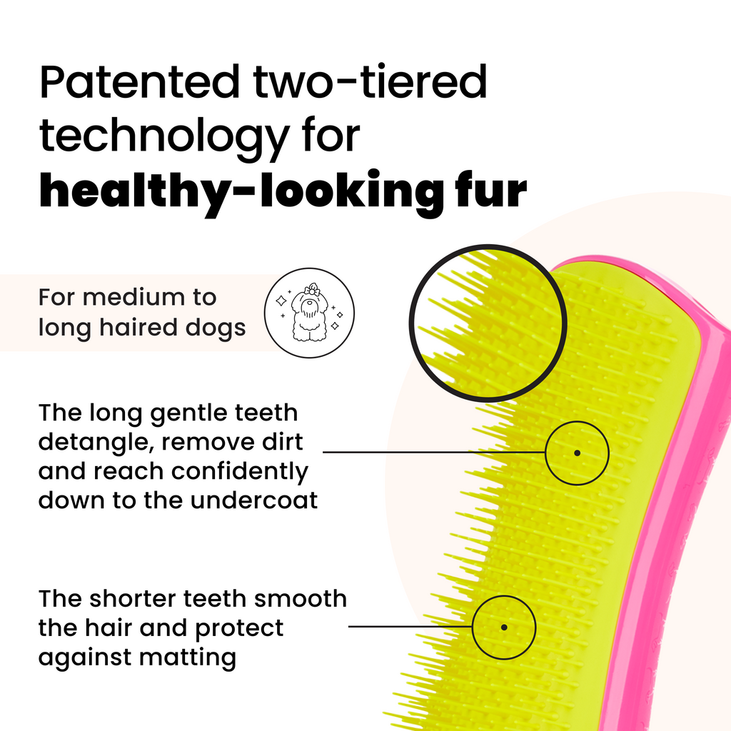 Detangling Dog Grooming Brush